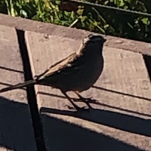 Meet your Posher, Karina